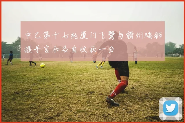 中乙第十七轮厦门飞鹭与赣州瑞狮握手言和各自收获一分