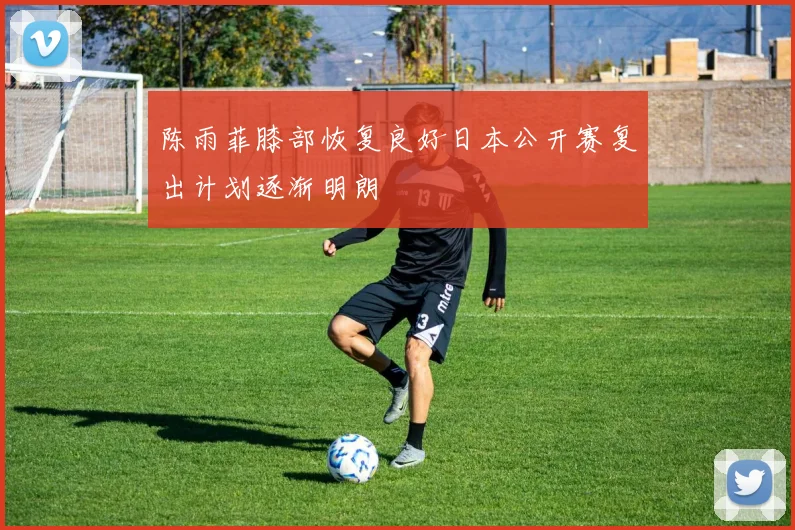 陈雨菲膝部恢复良好日本公开赛复出计划逐渐明朗