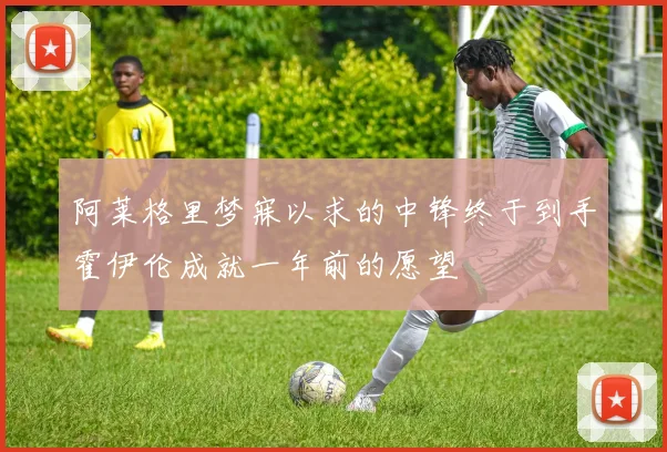 阿莱格里梦寐以求的中锋终于到手霍伊伦成就一年前的愿望
