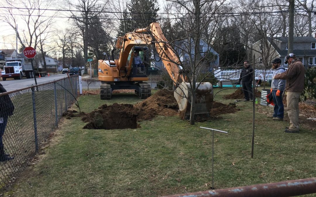 Backhoe in Yard